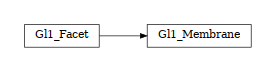 digraph Gl1_Facet {
        rankdir=LR;
        margin=.2;
        "Gl1_Facet" [shape="box",fontsize=8,style="setlinewidth(0.5),solid",height=0.2,URL="woo.gl.html#woo.gl.Gl1_Facet"];
        "Gl1_Membrane" [shape="box",fontsize=8,style="setlinewidth(0.5),solid",height=0.2,URL="woo.gl.html#woo.gl.Gl1_Facet"];
        "Gl1_Facet" -> "Gl1_Membrane" [arrowsize=0.5,style="setlinewidth(0.5)"]
}