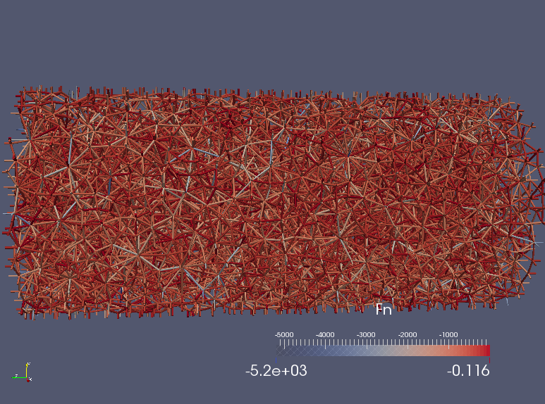 ../_images/paraview-force-network.png